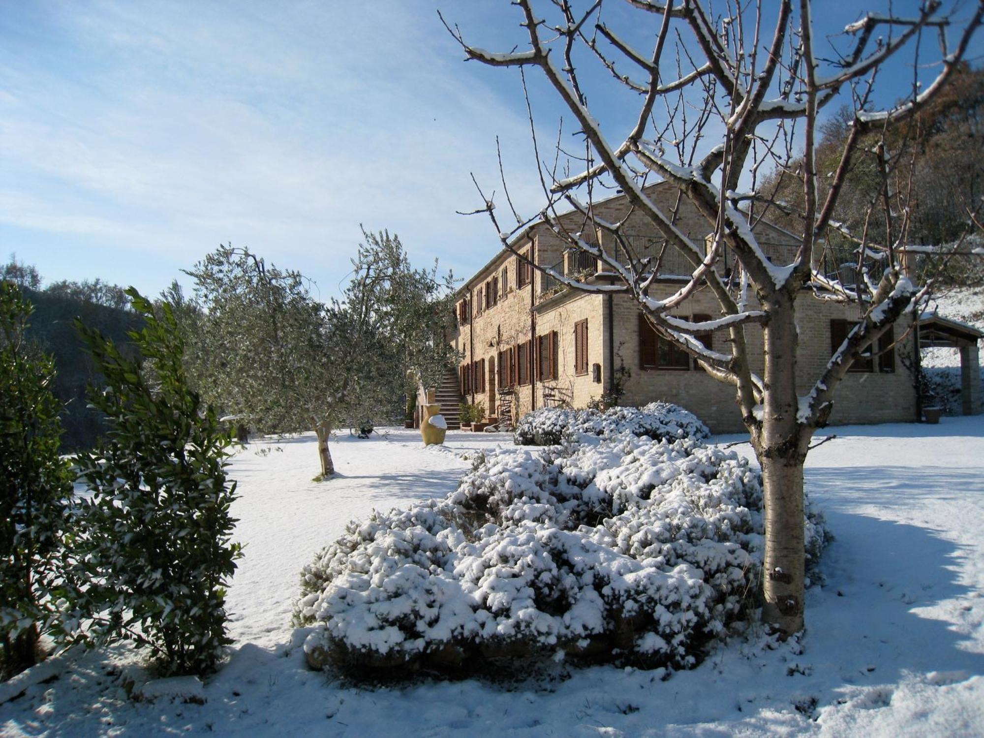 Casa Delle Sorgenti Apartment Montefiore dell'Aso Exterior photo
